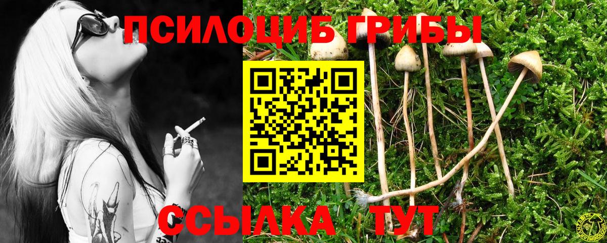 A-PVP Ртищево