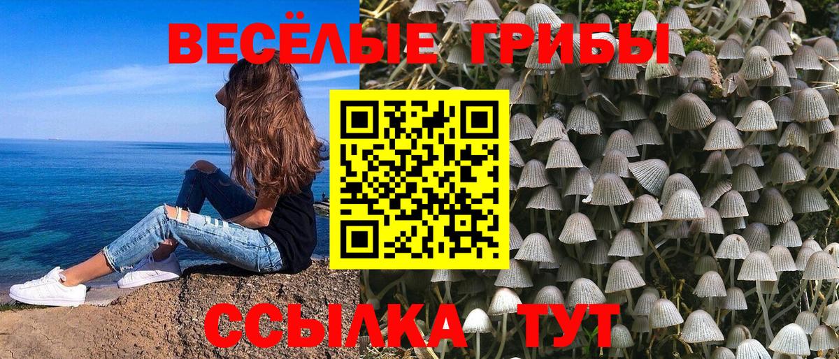 Псилоцибиновые грибы мухоморы  Вход с VPN  Ртищево 